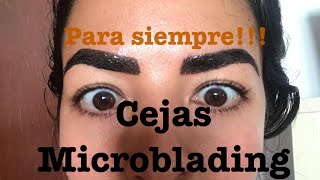 Cejas microblading (pelo a pelo) + sombreado
