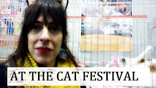 At the Cat Festival with our rescued kittens | Vlog #2