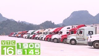 Nguy cơ giải cứu nông sản vì virus Corona | VTC16