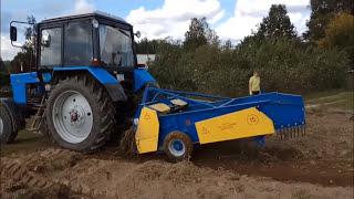 Копаем картошку на тракторе "МТЗ 82.1" и копалкой "КТН 2 ВМ/WM"