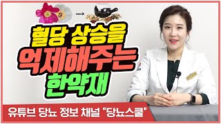 혈당 상승을 억제해주는 한약재? | 작약의 중요성과 먹는 방법 [당뇨스쿨]