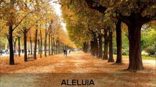 LOUVOR - GABRIELA ROCHA - ALELUIA
