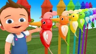 Little Baby Fun Learning Colors for Children with Woodpecker Birds Spring ToySet 3D Kids Educational