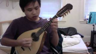 Vietnamese Mandolin