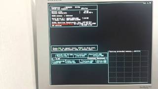 Speedsys Benchmark - AMD 386SX & IIT 3C87SX-33 33MHz