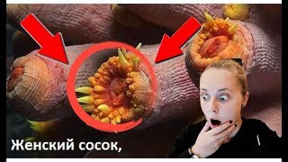 КАК ВЫГЛЯДЯТ ВЕЩИ ПОД МИКРОСКОПОМ? | 99% НЕ СМОГЛИ ПРОЙТИ ЭТОТ ТЕСТ!