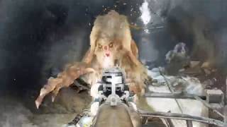 Прохождение Metro Last Light Redux (PS4 PRO) Часть 7# Регина