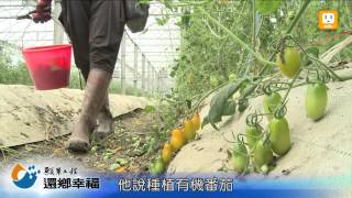【願景工程‧還鄉幸福】科技農夫 半導體概念種小番茄