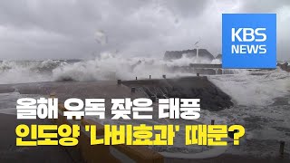 올해 유난히 많았던 태풍 원인 밝혀졌다...인도양 고수온에 이상기류 / KBS뉴스(News)