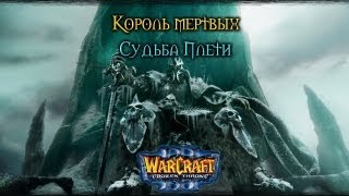 Warcraft 3 Король мертвых прохождение. Судьба Плети