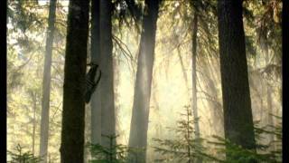 Reklama piwa Żubr - Tuż za rogiem [Żubr official] 2004