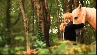Mating Horse | She want to Put In His Vergina | Horses Mating