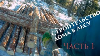 Строительство дома в лесу на Алтае. Глава 1