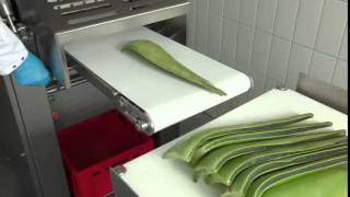 Peladora de Aloe vera, Aloe vera peeling machine "Made in Germany"