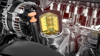 rôle filtre a huile / How oil filter works / دور فلتر الزيت