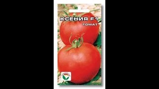 томат Ксения гибрид F1 Сибирския сад