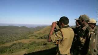 Huli - Technology to the Frontines of Tiger Conservation