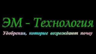 Как самостоятельно приготовить ЭМ препараты несколько рецептов