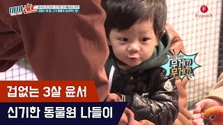 겁없는 세살 윤서의 세상 신기한 동물원 나들이 [마마랜드] 9회