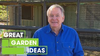 How to Make Homemade Fertiliser | Gardening | Great Home Ideas