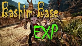 Black Desert Online - Bashims Rotations & EXP