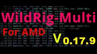 Новый майнер wildrig multi  0.17.9 для amd   NEW miner wildrig multi  0.17.9 for amd