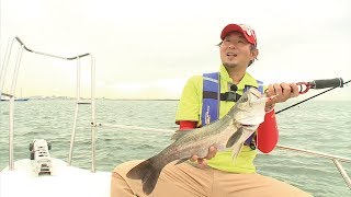 #072 都市型フィッシングスタイル 大阪湾ボートシーバスゲーム
