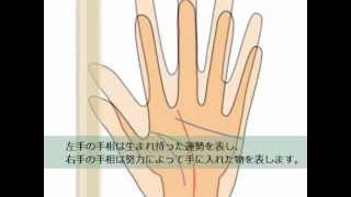 誰でも簡単手相予報