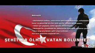 ŞeHiTLeR ÖLMEZ(TüRK EVLADIYSAN İZLE)