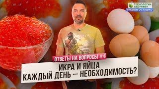 Икра и яйца каждый день – необходимость? (Ответы на Вопросы)
