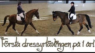Första dressyrtävlingen på 1 år - vlogg & femteplacerade!