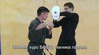 ПЛАМя - тыльная сторона - мертвая ладонь