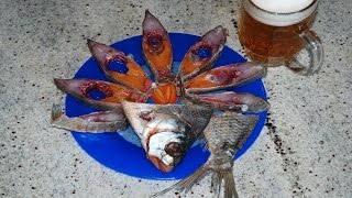 Как Засолить Леща! Вяленый Лещ! Bream. Выпуск №42
