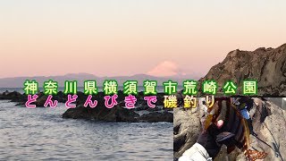 神奈川県横須賀市荒崎どんどんびきで釣り