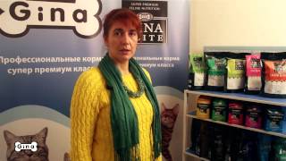 Правильное питание для собак и кошек, корм Gina