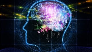 The Human Brain  Science Discovery Documentary HD