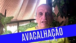 Avacalhação