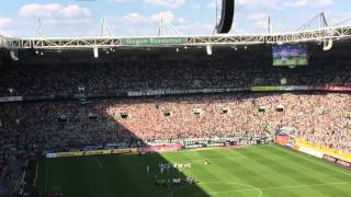 Borussia Mönchengladbach Verabschiedung nach dem Spiel von Roel Brouwers, Martin Stranzl