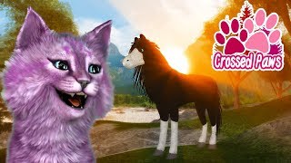СТАЛА ЛОШАДЬЮ В РОБЛОКС! ПЕРЕКРЕЩЕННЫЕ ЛАПКИ СИМУЛЯТОР ЖИВОТНЫХ roblox Crossed Paws