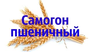 Самогон из пшеницы. Пшеничный дистиллят.