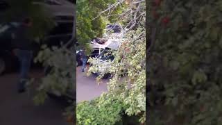 Задержание Фаиля  БОО БАШКОРТ 16.09.2017