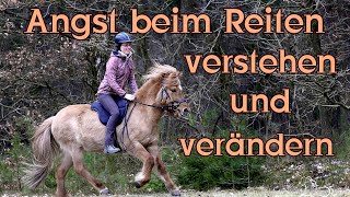 Angst beim Reiten, verstehen und verändern.