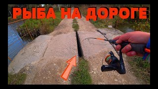 НЕОБЫЧНАЯ РЫБАЛКА посреди ДОРОГИ !!!