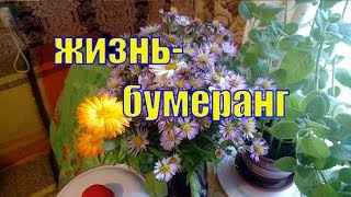 VLOG/ Наказание-Сгорел дом, мать и золото/Не родные дети