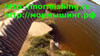 Мормышинг. Пример проводок. Домашнее задание для начинающих. Жужжащая проводка.