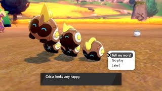 Chill Shiny Raid Dens!! Pokemon Sword and Shield