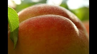 Анальные пробки – зачем они нужны и как их использовать?
