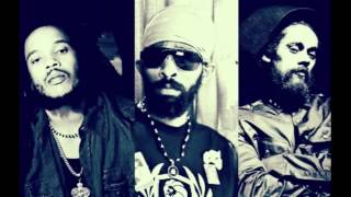 Stephen Marley feat Damian "Jr Gong" Marley & Spragga Benz - Bongo Nya