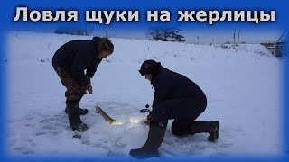 Ловим щуку на жерлицы | Зимняя рыбалка в Тверской области