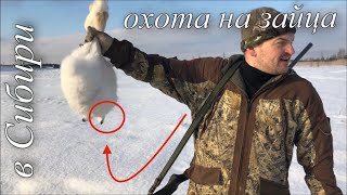 Охота на зайца с гончими. Открытие сезона 2019